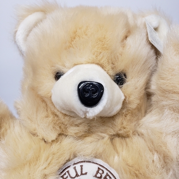 Wee Win Toys 17" Thankful Teddy Bear Vintage Made in Korea Religious Plush - Picture 9 of 9